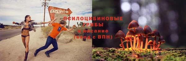 хмурый Балабаново