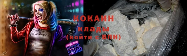 крисы Баксан