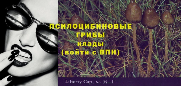 крисы Баксан