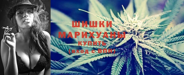 крисы Баксан