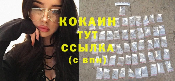 крисы Баксан