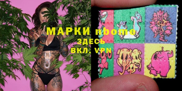 крисы Баксан