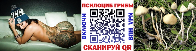 Псилоцибиновые грибы ЛСД  Моздок 